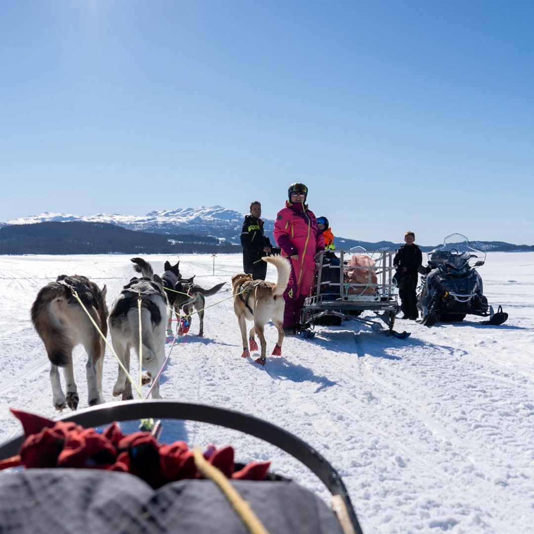 Telemark-Huskytour-00904 copy.jpg