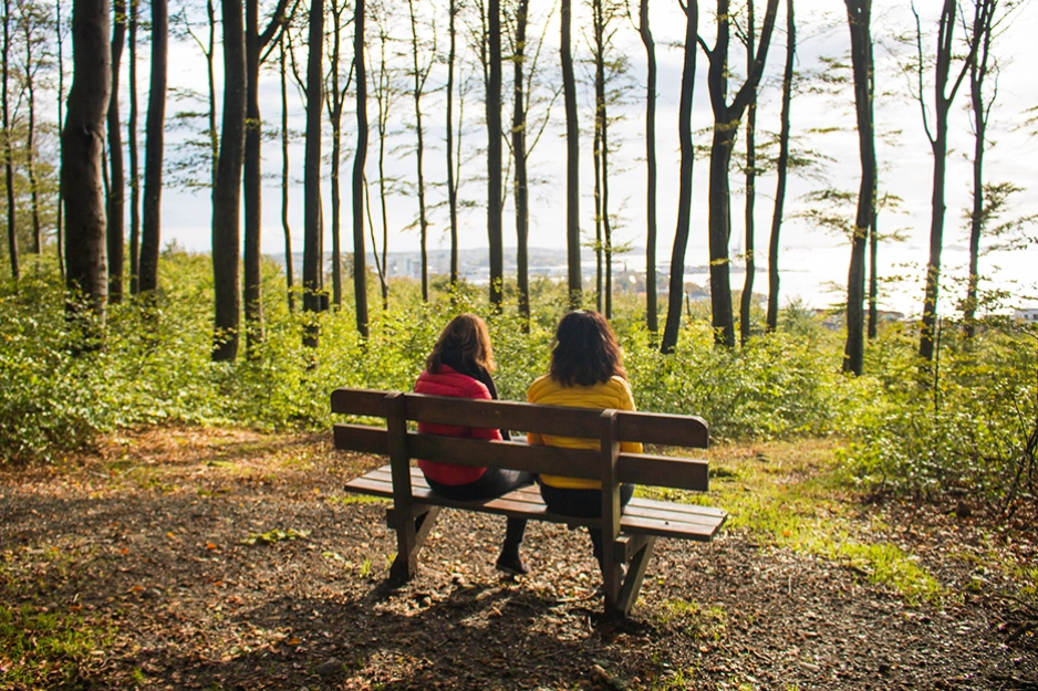Bøkeskogen. Foto: visitvestfold.com