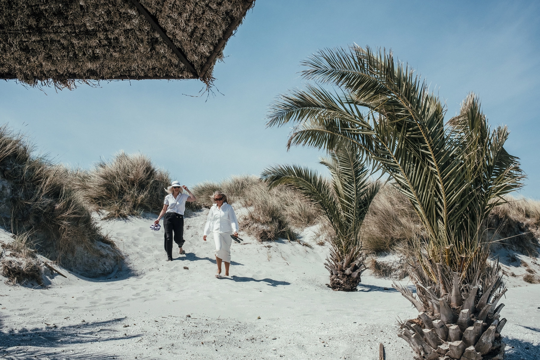 palmestranden_frederikshavn_frame and work (3).jpg