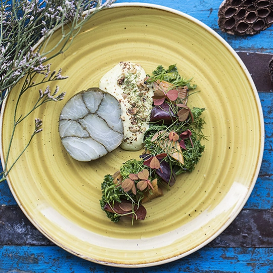 Tallerken med mat.jpg