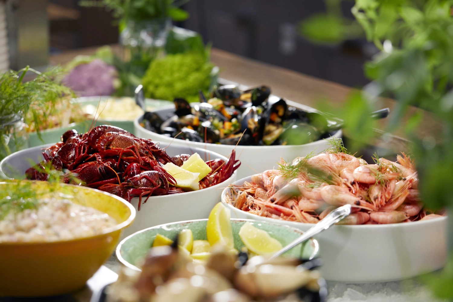 Koster_Buffet_Color_Hybrid_CLL_29055_Foto_Veslemoy_Vraskar.jpg