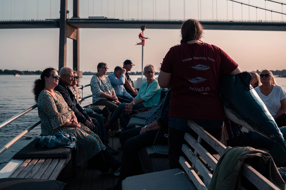 Hvalsafari.jpg