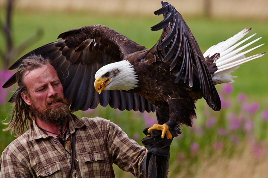 Silkeborg Ørnereservat.jpg
