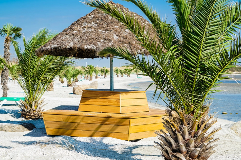 Palmestranden i Fredrikshavn Foto- Peter Jørgensen.jpg