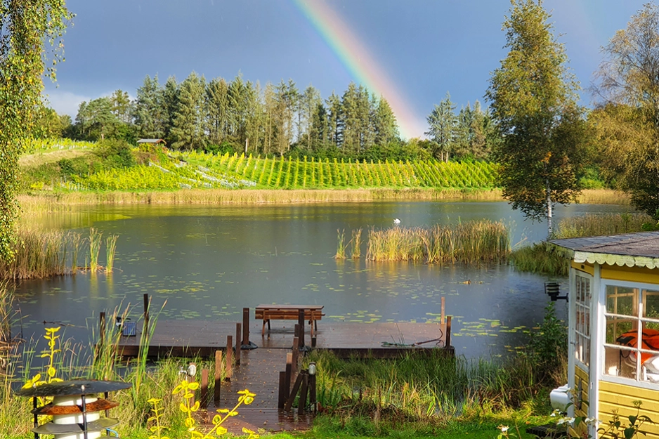 Skæsørgaard Vingård.jpg