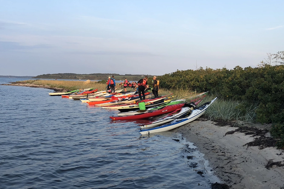 Kajakkpadlere på strand.jpg