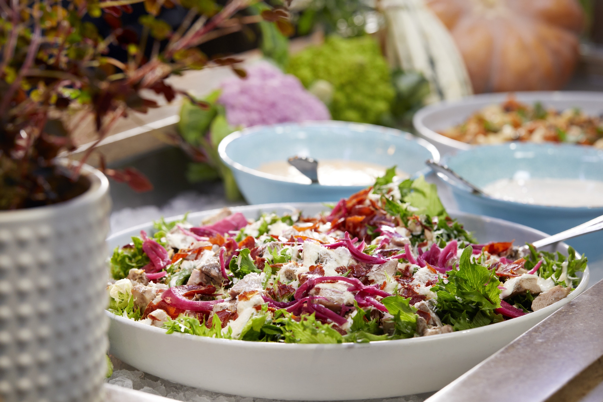 Koster_Buffet_Color_Hybrid_CLL_29059_Foto_Veslemoy_Vraskar.jpg