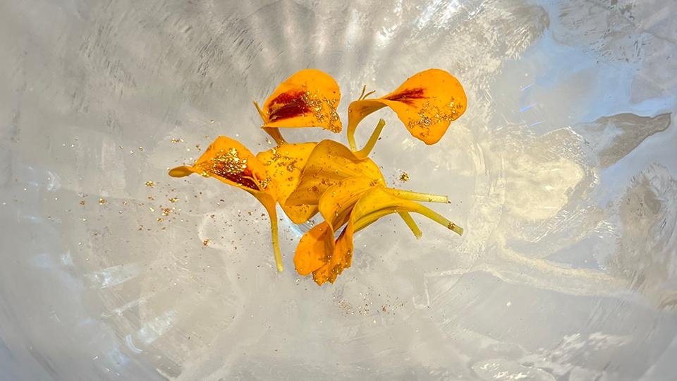 Blomster.jpg