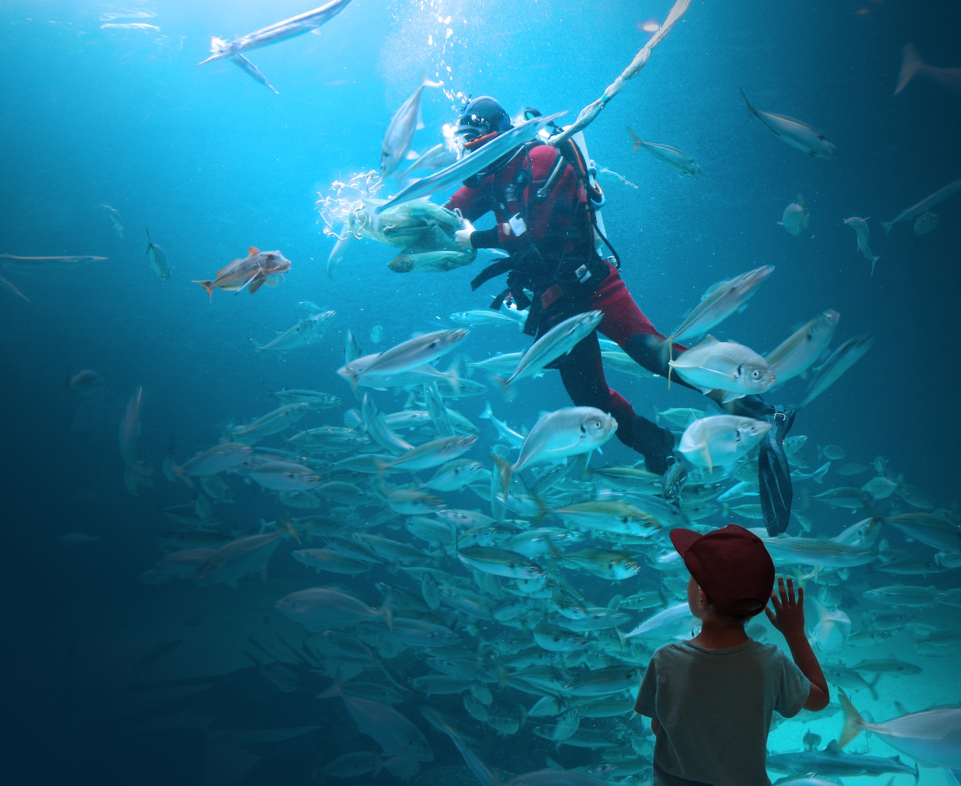 Nords&oslash;en Oceanarium_dykkere.jpg