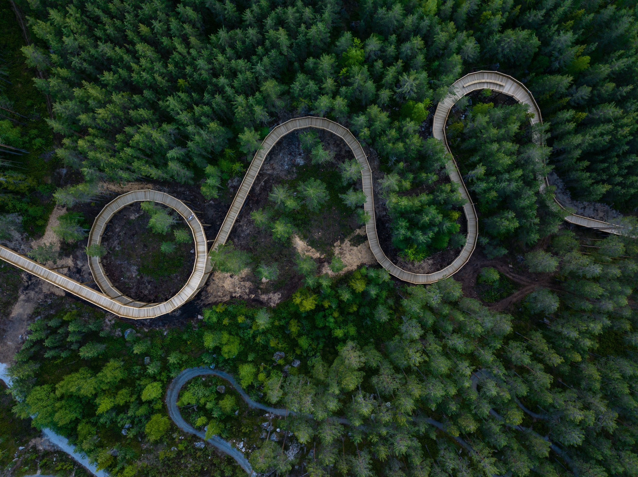 Ekstra2 - tretoppvegAMAREN-FYRESDAL-VISIT-T-YNGE-ASK2-22430536-Foto_Yngve_Ask.jpg