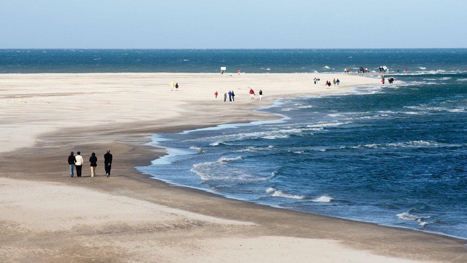 Grenen.jpg