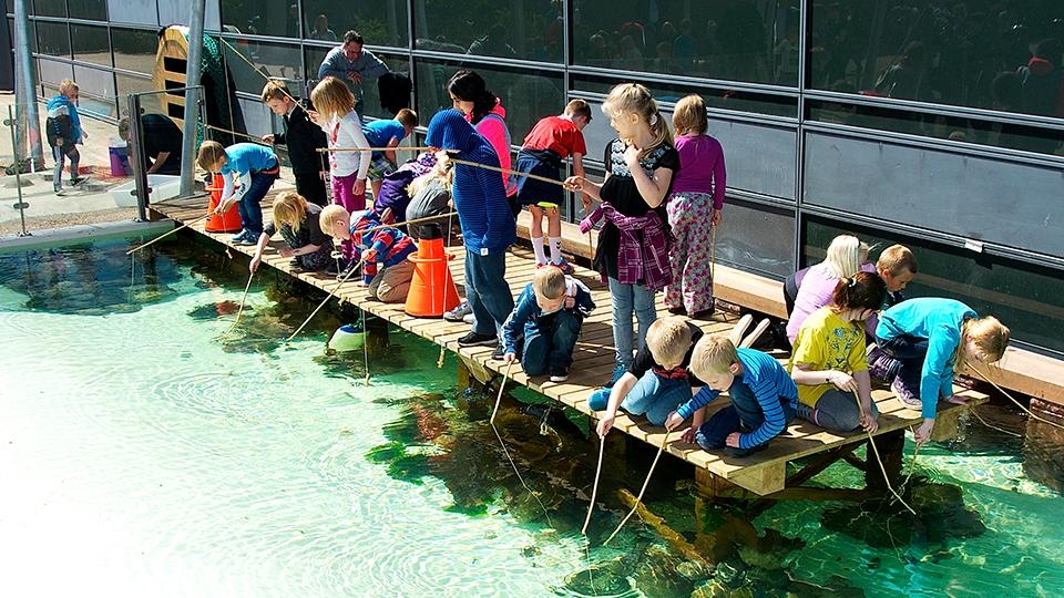 Nords&oslash;en oceanarium_barn.jpg